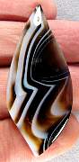 cab_agate-tuxedo-01_0002.JPG