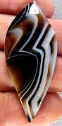 cab_agate-tuxedo-01_0003.JPG