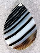 cab_agate-tuxedo-02_0001.JPG