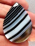 cab_agate-tuxedo-02_0002.JPG