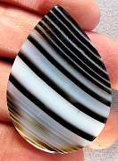cab_agate-tuxedo-02_0003.JPG