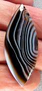 cab_agate-tuxedo-03_0002.JPG