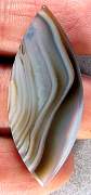 cab_agate-tuxedo-03_0003.JPG