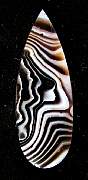 cab_agate-tuxedo-04_0001.JPG