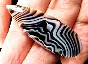 cab_agate-tuxedo-04_0003.JPG