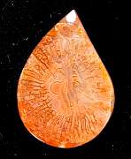 cab_coral-redhorn-02_0002.JPG