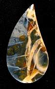 cab_jasper-morrisonite-01_0002.JPG