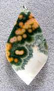 cab_jasper-ocean-01_0001.JPG