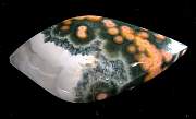 cab_jasper-ocean-01_0004.JPG