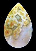 cab_jasper-ocean-02_0001.JPG