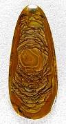 cab_jasper-sahara-01_0001.JPG