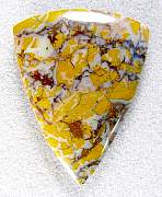 cab_jasper-stonecanyon-01_0001.JPG