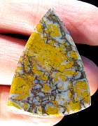 cab_jasper-stonecanyon-01_0004.JPG
