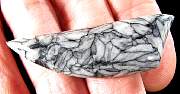 cab_pinolith-01_0003.JPG