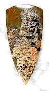 cab_plume-priday-02_0002.JPG
