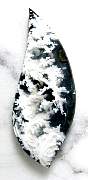 cab_plume-stinking-01_0001.JPG