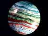 rainbow_silica2-25_05.jpg
