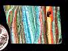 rough_rainbow_silica2-25_06.jpg