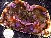 rough_opalfluorite5-27_10-2.jpg