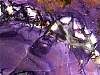 rough_opalfluorite7-19_11-1.jpg