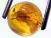 sphere_amber11-08_03-3.jpg