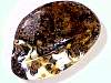 cab_amber11-08_10-1.jpg