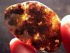 cab_amber11-08_10-2.jpg