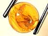 sphere_amber11-08_03-1.jpg
