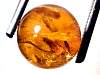 sphere_amber11-08_03-2.jpg
