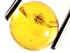 sphere_amber11-08_05-1.jpg