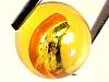 sphere_amber11-08_05-2.jpg