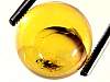 sphere_amber11-08_05-3.jpg