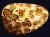 dalmationjasper01.jpg (24793 bytes)