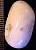 freeform_white_opal2.jpg