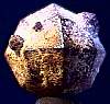 garnet02-1.jpg