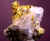 goldnugget5.jpg (19655 bytes)