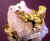 goldnugget9.jpg (23547 bytes)