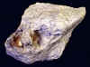 topaz_matrix4-1.jpg (45059 bytes)