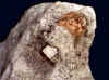 topaz_matrix4-3.jpg (49544 bytes)