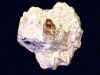 topaz_matrix5-1.jpg (34388 bytes)