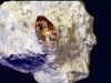 topaz_matrix5-3.jpg (44387 bytes)