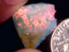 opal_rough_LightningRidgeNobbie03-1.jpg (18470 bytes)