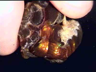 fireagate_window03.jpg (19074 bytes)