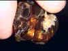 fireagate_window03.jpg (19074 bytes)