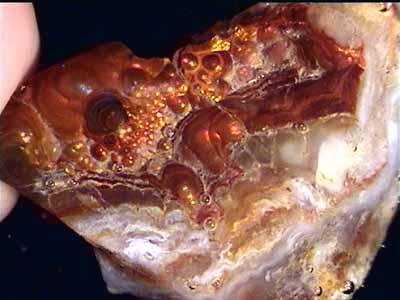 fireagate_window06.jpg (24969 bytes)