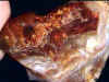 fireagate_window06.jpg (24969 bytes)