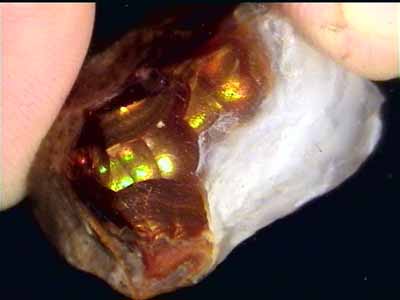 fireagate_window07.jpg (16730 bytes)