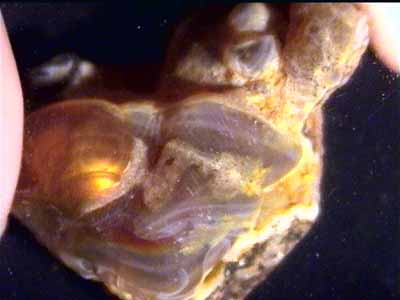 fireagate_window10.jpg (18173 bytes)