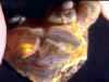 fireagate_window10.jpg (18173 bytes)