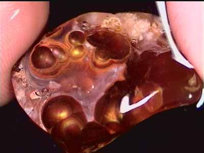 fireagate_window15.jpg (18753 bytes)
